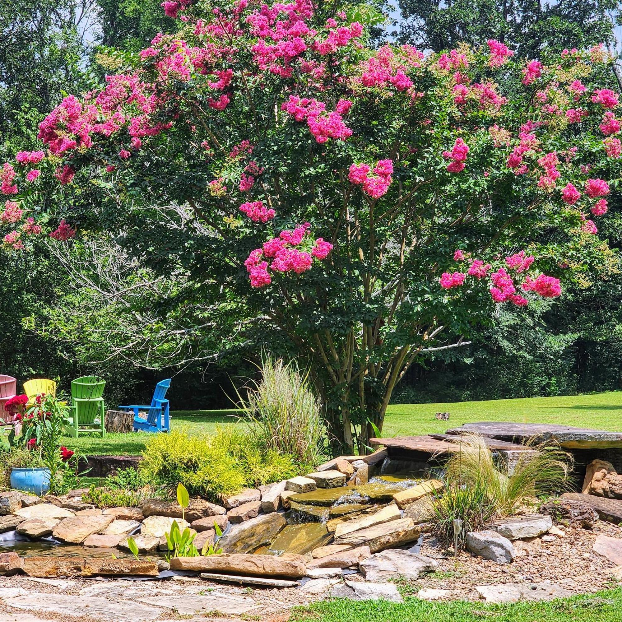 Sisters On Sycamore B&B Russellville Exterior photo