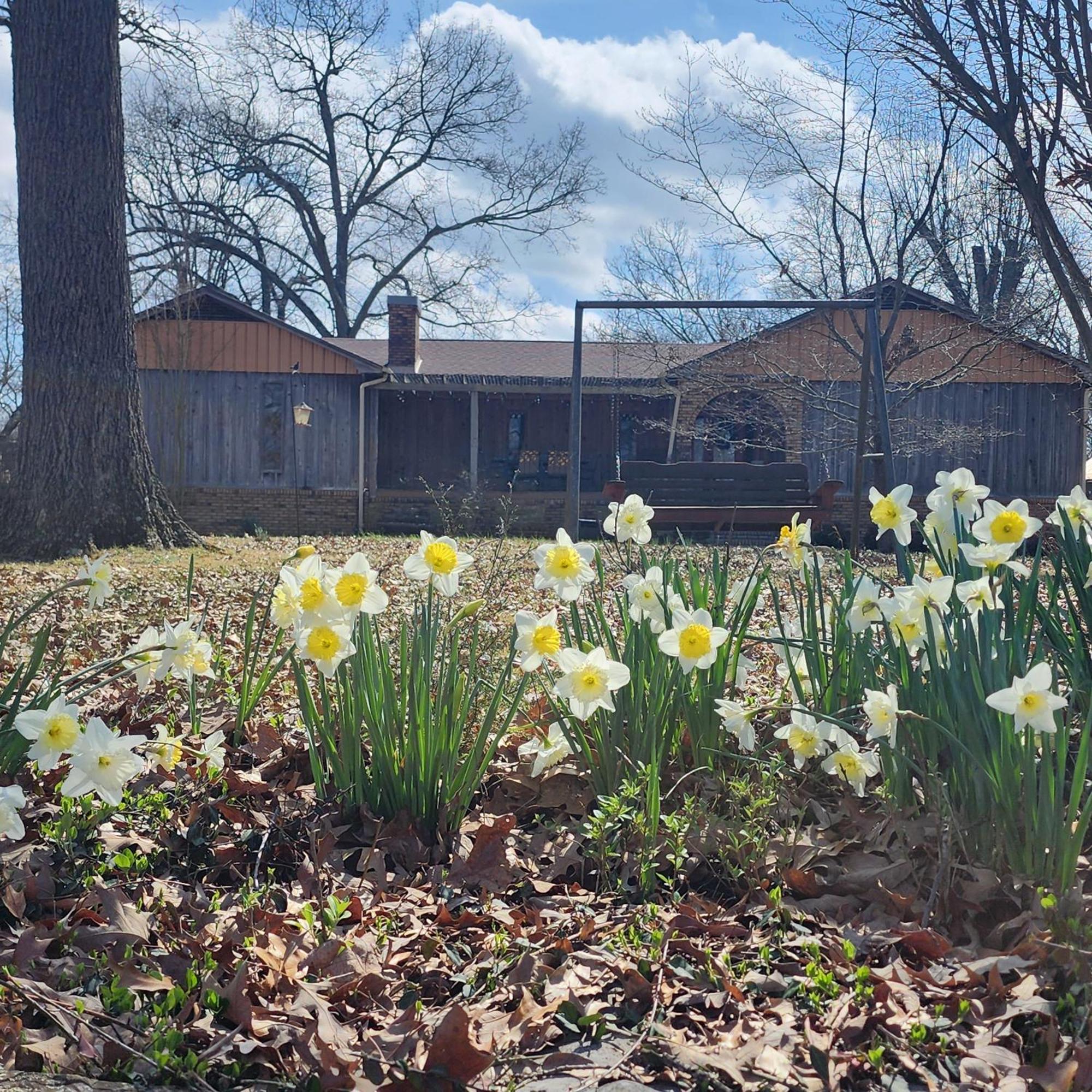 Sisters On Sycamore B&B Russellville Exterior photo